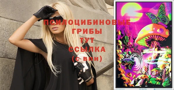 индика Алексеевка