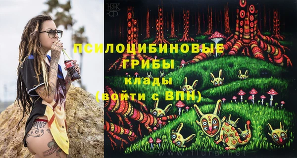 героин Алексин